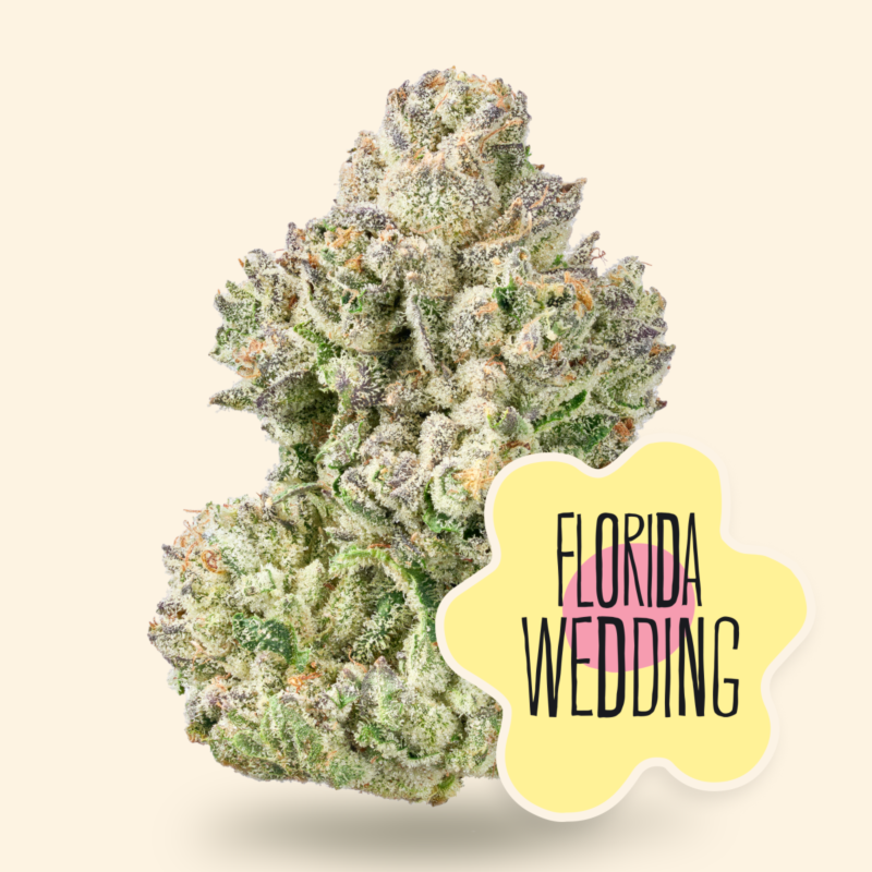 DC Florida Wedding, Flower 3.5g (Indica 3.5g each)