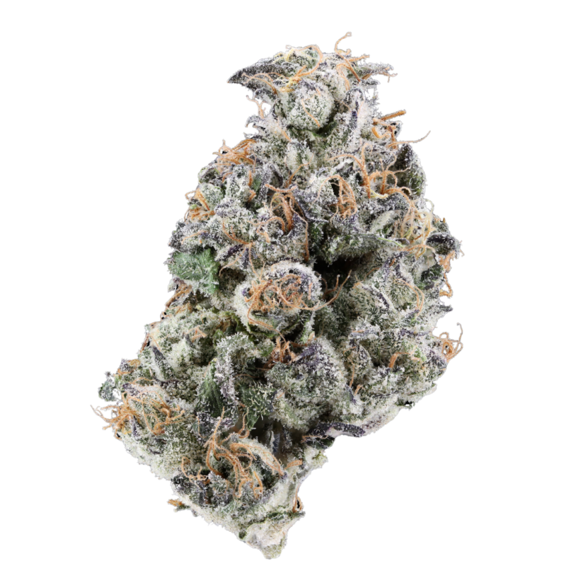 (CSC) Kandy, Flower 3.5g (ea) INDICA