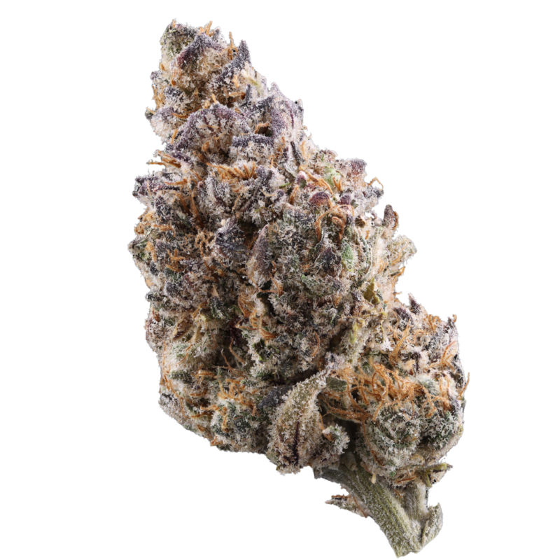 (CSC) Limesicle, Flower 3.5g (ea) SATIVA